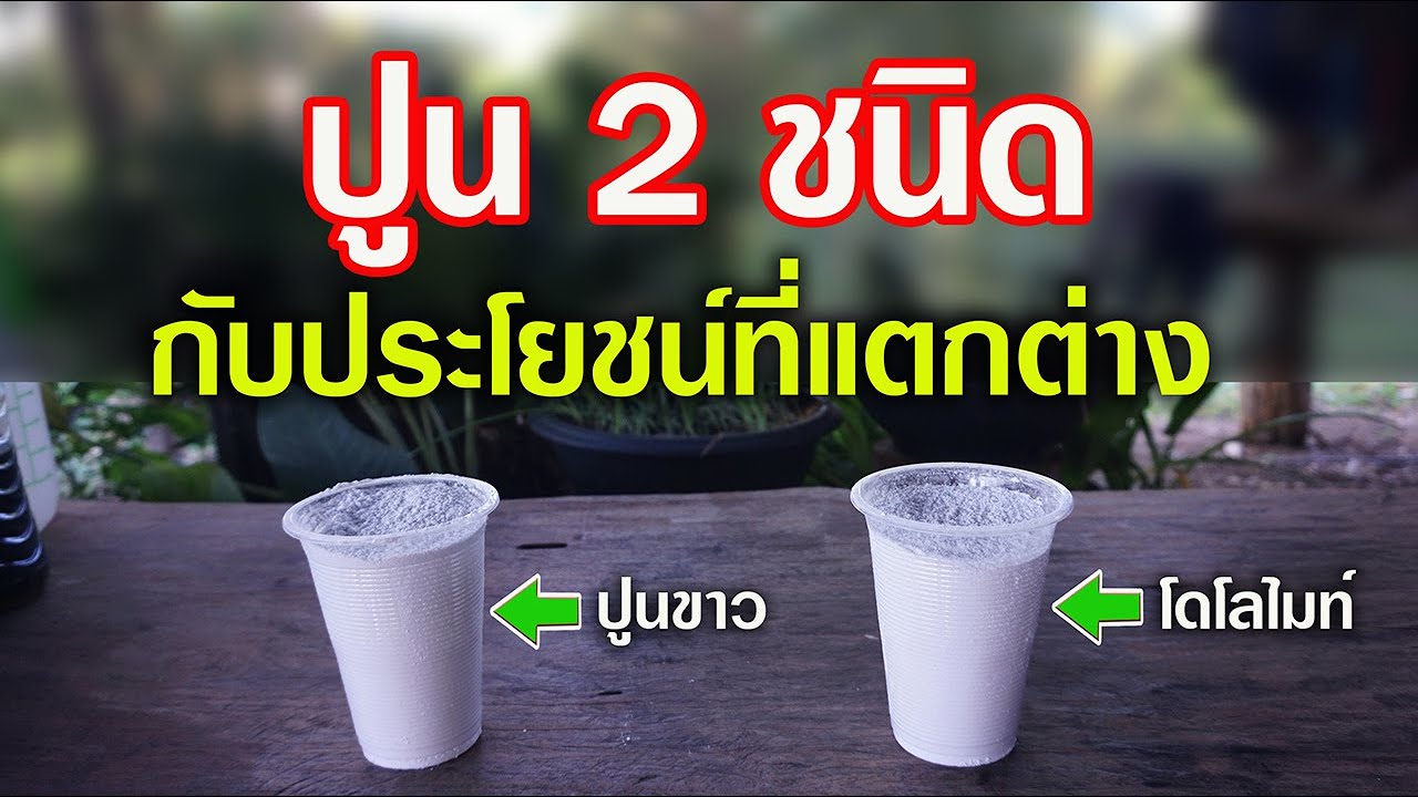 ปูนขาว VS ปูนโดโลไมท์ แตกต่างกันอย่างไร? ปูนชนิดไหนใช้ดีกว่ากัน?