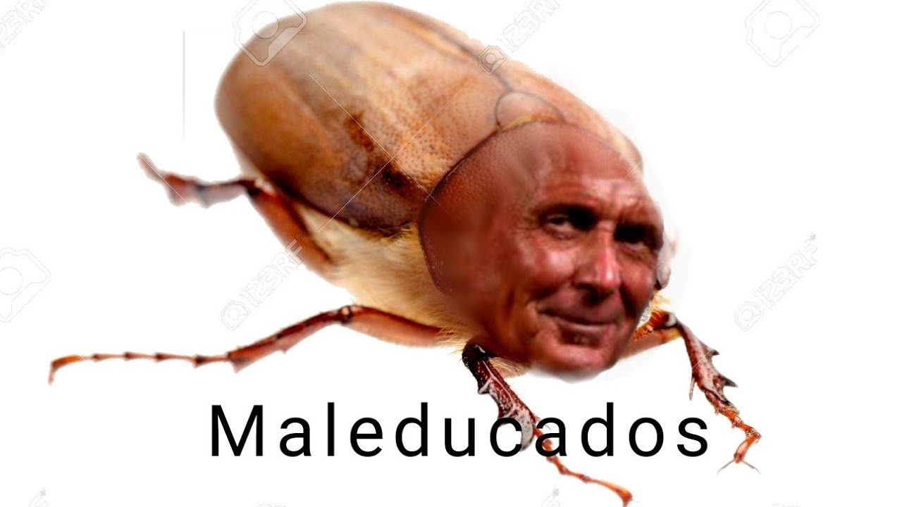 lo más random que verás - YouTube