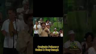 ✨ tema : conmigo no estés jugando , Conjunto Palmas y Cañas &amp; Tony Iznaga #grupocubano #musica