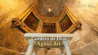 Magna Canta Agnus Dei (Lyrics/Sub Español) (Official Video)