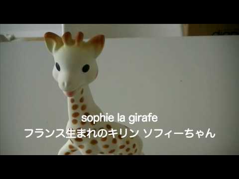 Żyrafa Sophie Une girafe dans un cercle de sauvetage