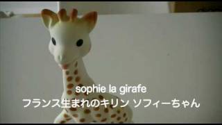 sophie la girafe