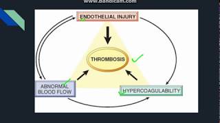 Thrombosis