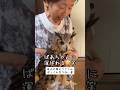 【ばあちゃんに運ばれるフクロウ🦉🤣】 #ばあちゃん大好き #癒し動画 #ベンガルワシミミズク #owl