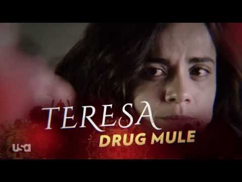 Usa Queen Of The South Teresa Character Profile