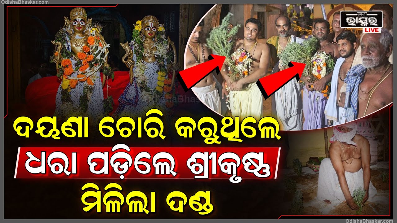 ଚୋରି କରୁଥିଲେ ଦୟନା ଗଛ ହେଲେ ଧରା ପଡିଗଲେ ଶ୍ରୀକୃଷ୍ଣ।ଭୋଗ ମଣ୍ଡପ ଘରେ ବିତିଲା ରାତି । ଶ୍ରୀମନ୍ଦିରରେ ହେବ ଏହି ନୀତି
