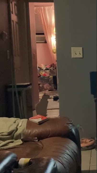 SSX Blur | DJ Atomika Voice Line: Radio Big