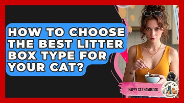 How To Choose The Best Litter Box Type For Your Cat? - Happy Cat Handbook