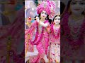Dwarka ke Prabhu vidha mera par kr #ytshorts #radhakrishna #khatushyam #viralvideo #trending #shorts