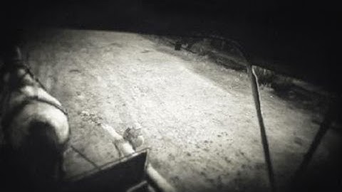 [RDR2] TIPS TRICKS // F1RsT PerSoN BUggY MeTHoD 2020