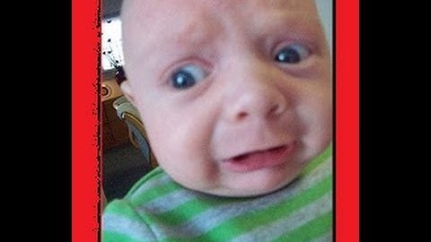 Lead System Network Review | Is Lead System Network As Good As It Sounds?