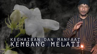 Keghaiban dan Manfaat Kembang Melati