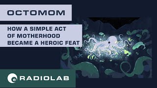 Octomom | Radiolab Podcast
