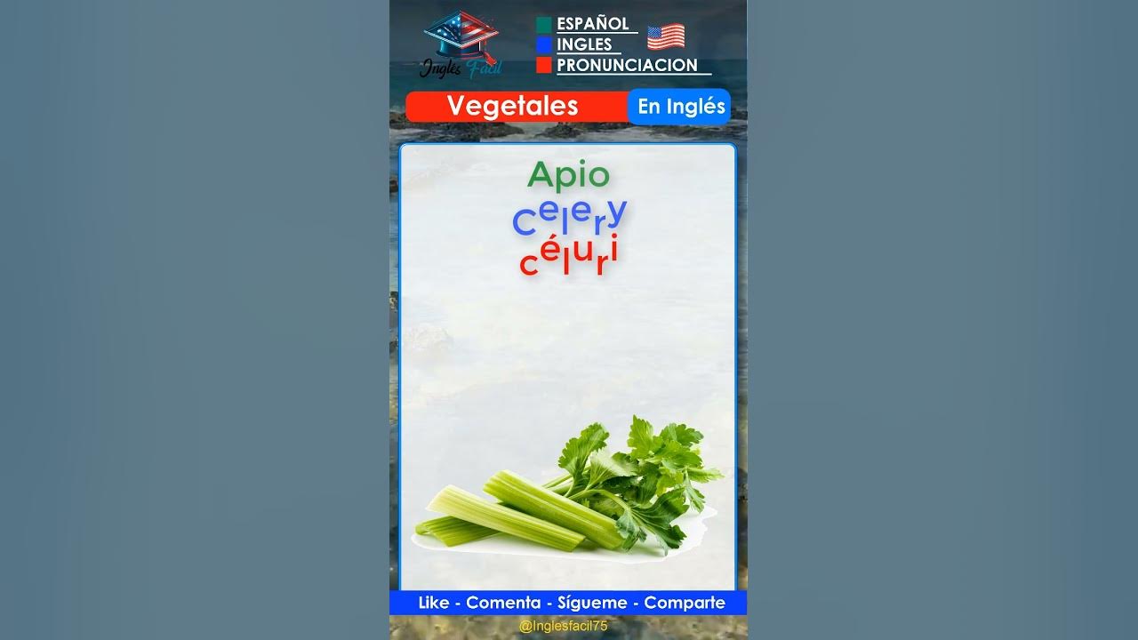 La mejor forma de aprender a decir【Apio】en ingles celery 