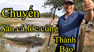 Chuyến đi săn lóc đồng nai@ÔNG3BỰ #lurefishing #video câu cá lóc#clip câu cá lóc