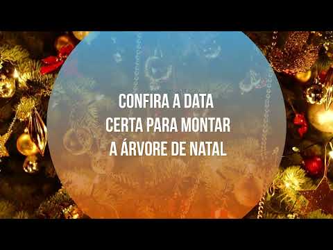 Confira a data certa para montar a árvore de Natal