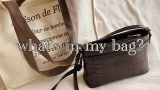 what's in my bag? SEVENTEEN ライブ参戦カラットのバッグの中身
