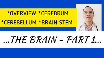 Unlocking the Power of Your Brain: Part 1