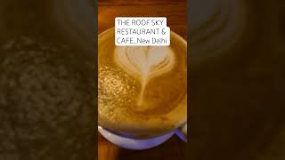 THE ROOF SKY RESTAURANT & CAFE |#newdelhi#delhi#majnukatila#cafe#restaurant#food#foodie#tea#shorts