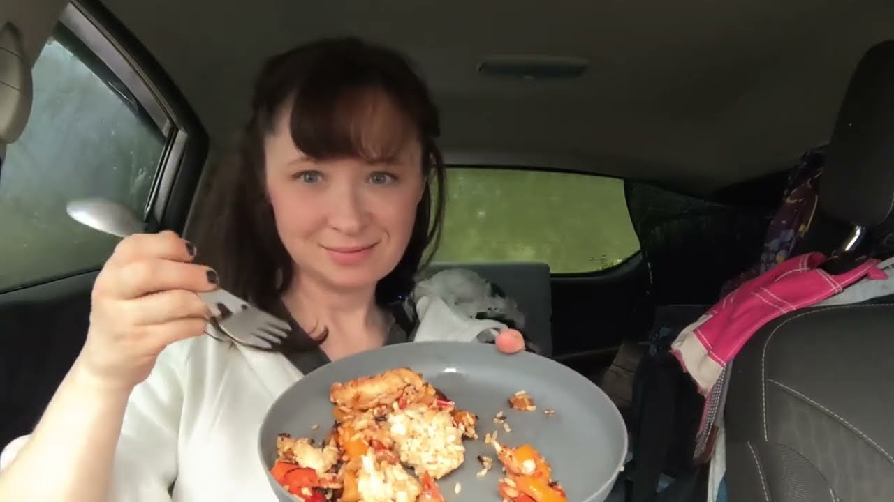 Car Camping on a Road Trip Camping Fail as a Solo Female with my Dog in our Micro Car Camper