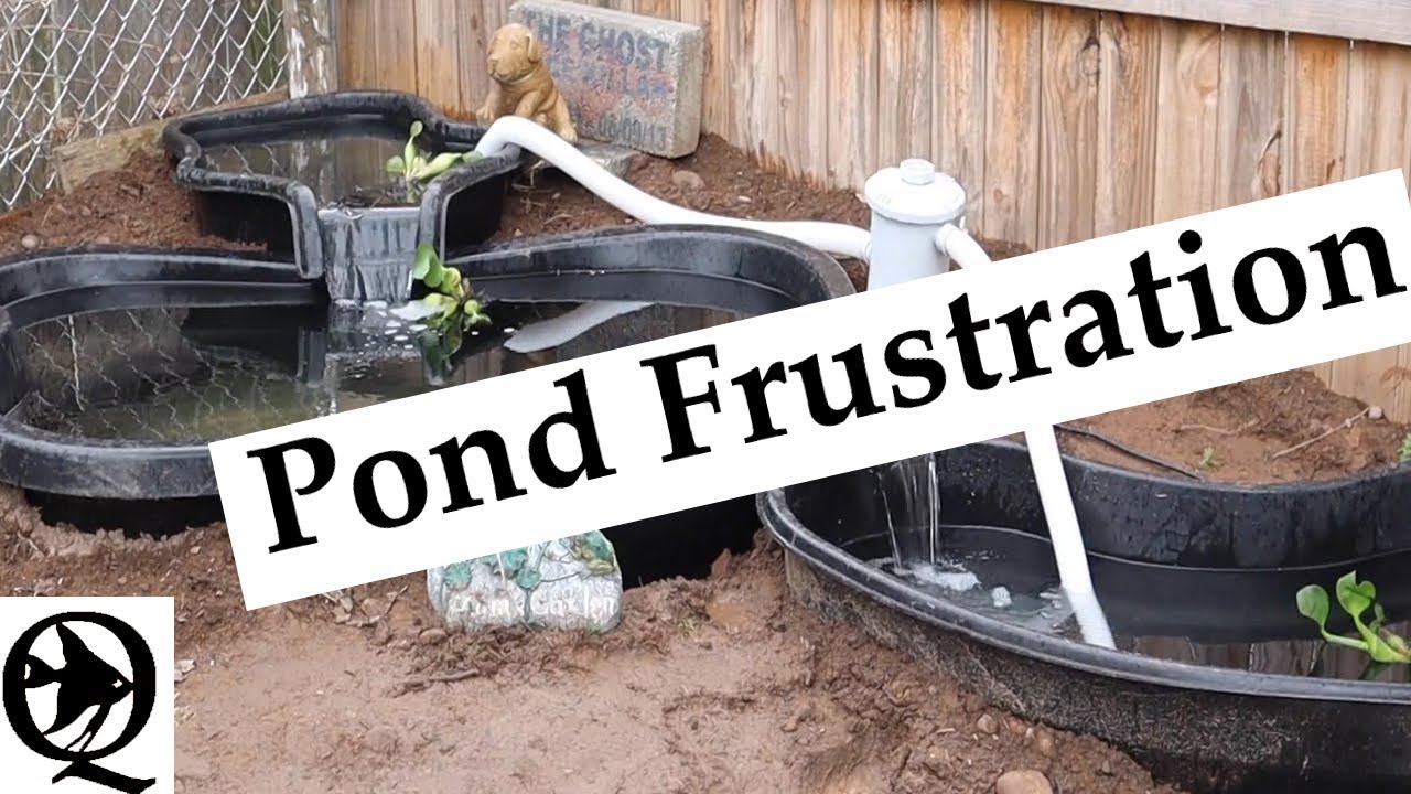 fish fam youtube Pond Frustrations!