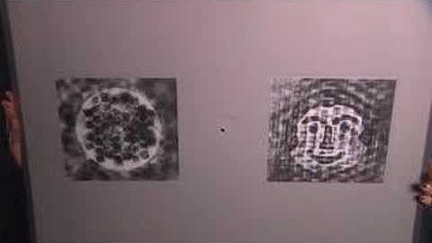 Baby Human - Face Recognition