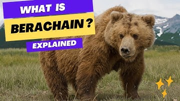 What is Berachain?  ✅ Explained under 10 minutes 🔥🔥🔥