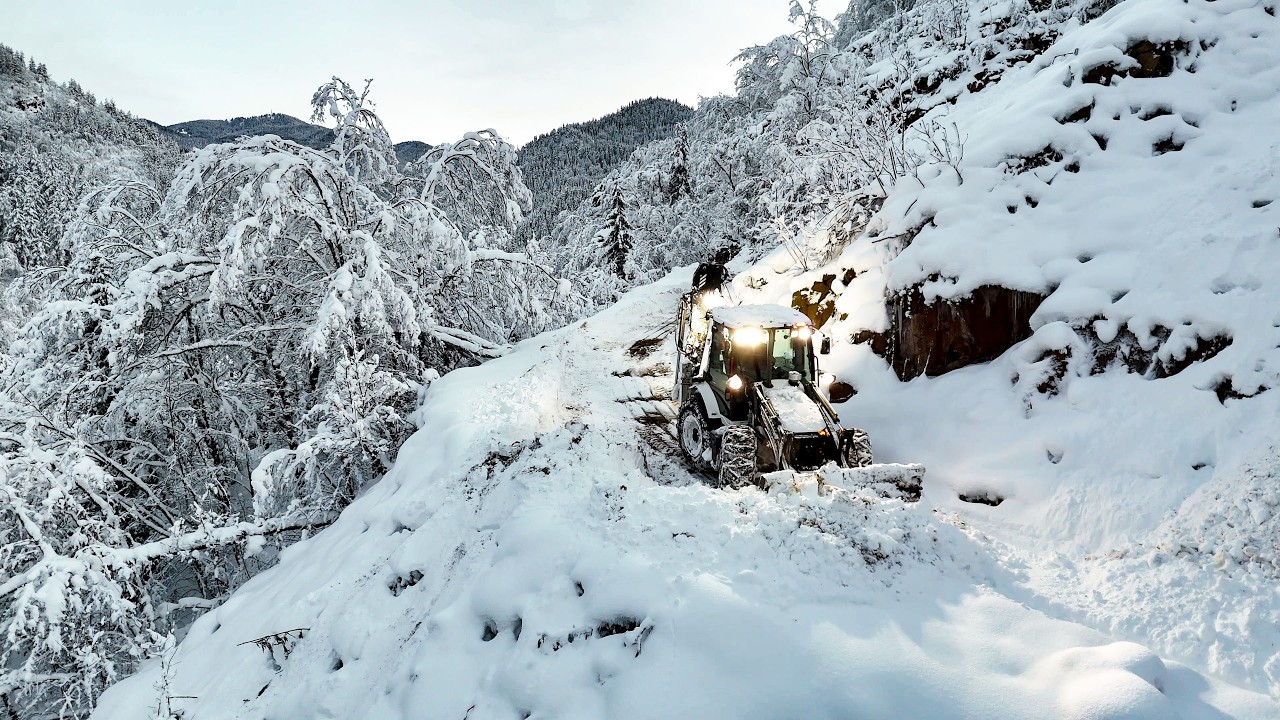 Acil Durum! Üzerine Ağaç Düşen Adam İçin Yol Açıyorum!