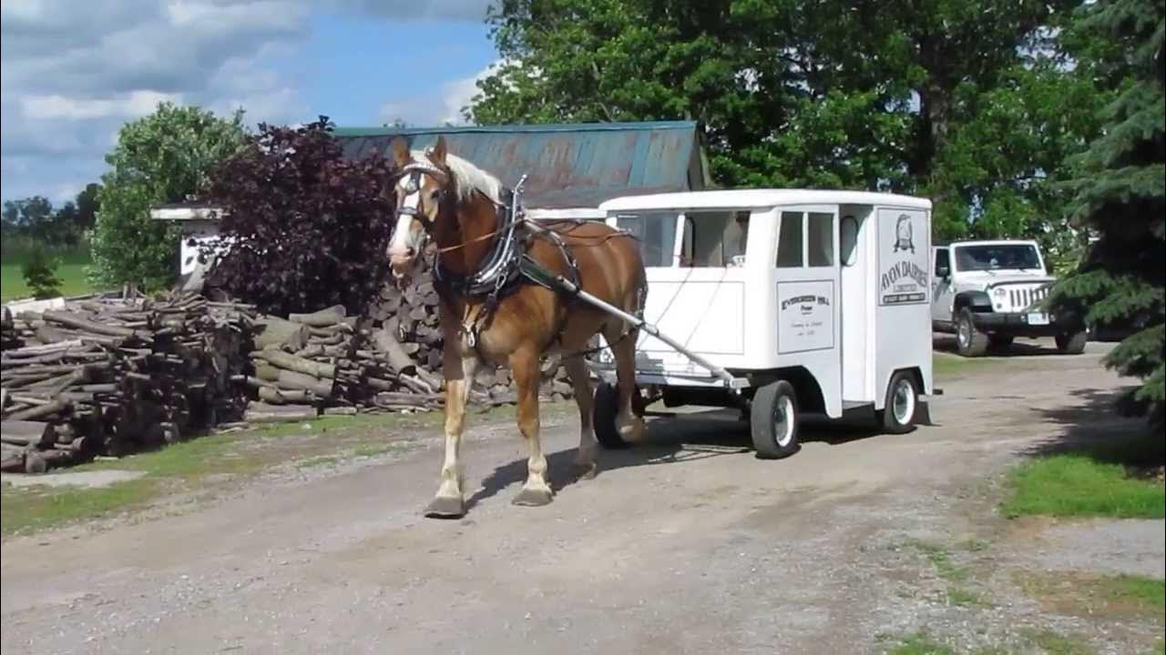 Antique Horse Drawn Milk Wagon YouTube