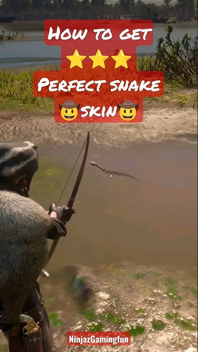 How To Get Perfect Snake Skins Rdr2 RDR 2 - How to Get Perfect Snake Skin #shorts #rdr2 #rockstar #gaming #
