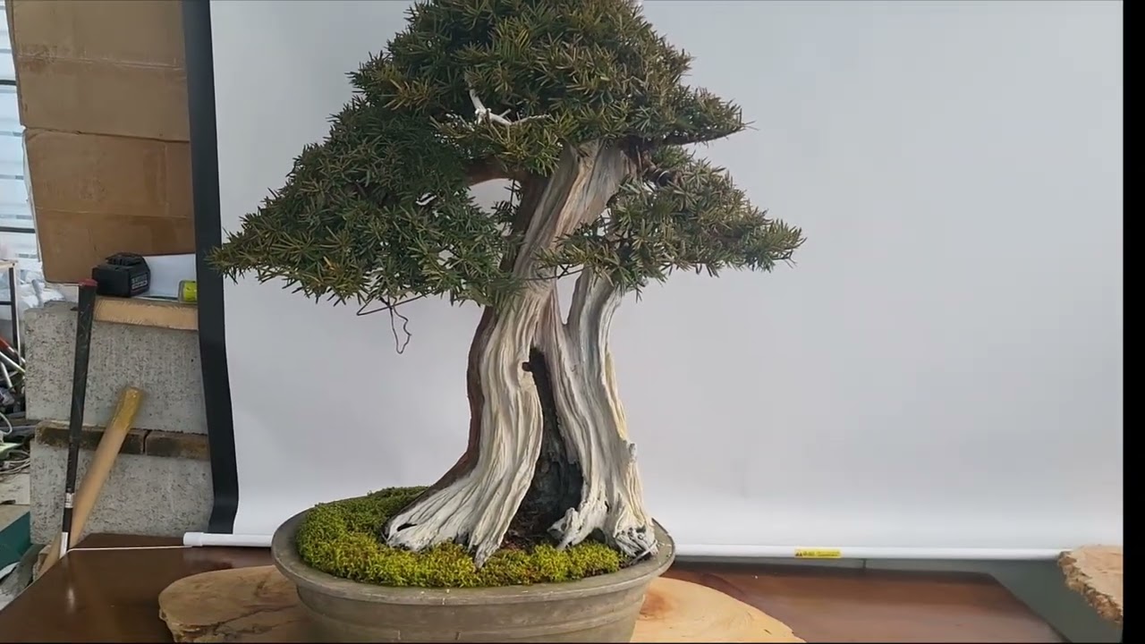 [표유매 오늘의 작곡 6] 