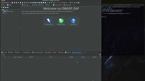 Testing OOB(Out-of-band) in ZAP with OAST