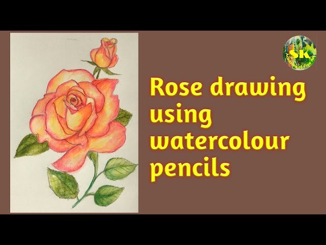 Watercolor Pencil Tutorial Realistic Rose - Erika Lancaster- Artist +  Online Art Teacher
