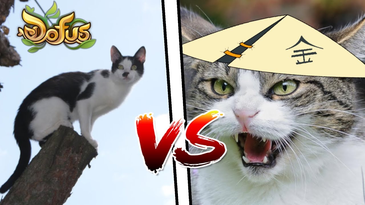 ec vs eca stack ec vs eca stack
