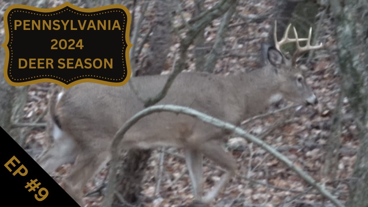 The Grind Begins (2024 PA. Archery Season) - YouTube