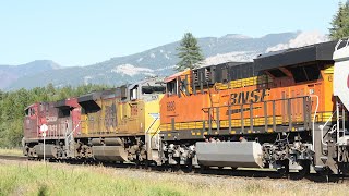Rare Cp 8022 Up 8769 And Bnsf 6893 Lead Cp 368 East At Jaffray British Columbia