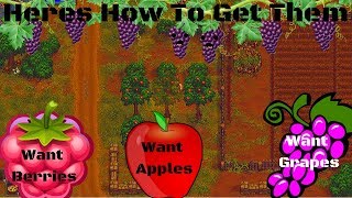 In this episode of how to graveyard keeper, i show you guys get the
apple and berry seedlings grape seeds where plant grapes ho...