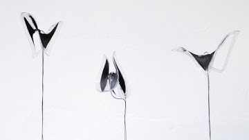 Shy Dielectric Elastomers | Netzer, Schmidt, Seehausen, Winckler