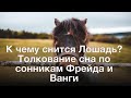 К чему снится Лошадь? Толкование сна по сонникам Фрейда и Ванги