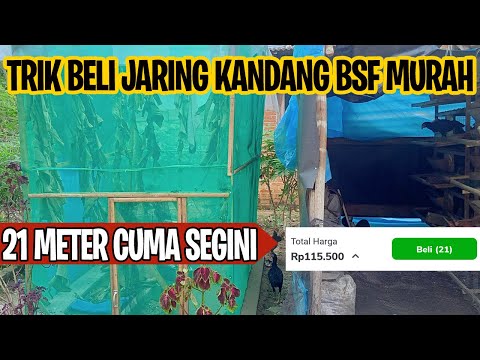 Video: Adakah saya memerlukan jaring lalat untuk uluru?