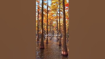 #اللهم_صل_وسلم_على_نبينا_محمد #تلاوة_خاشعة #اكسبلور_explore #القرآن_الكريم #reelsvideo #reels