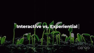 Interactive vs. Experiential