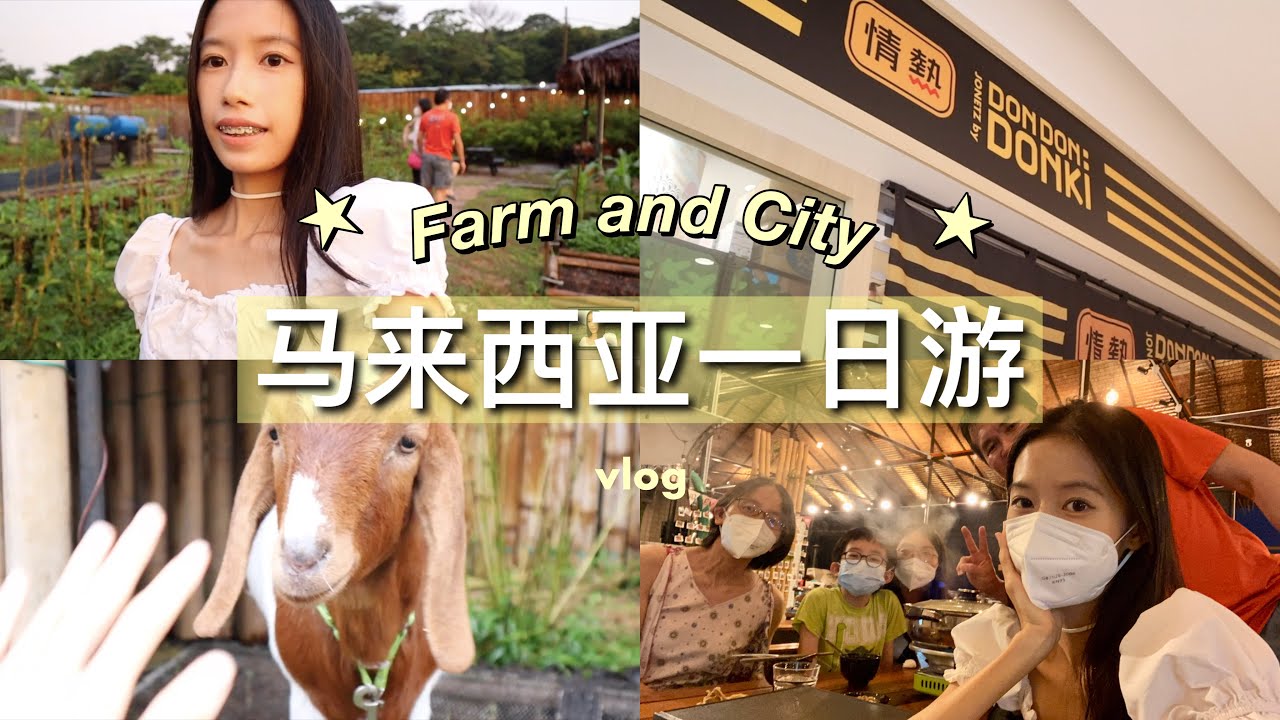 One day Trip  一日游 🇲🇾 | Don Don Donki 🛒｜农村生活🐄｜Lot 10 逛街