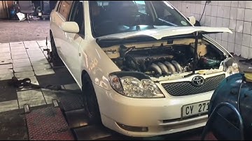 RUNX RSI VVTL-i SCREAMER ON DYNO RUN🎌🥵