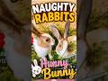 🐰 Naughty Rabbits Causing Chaos! 😂🥕 Wait for the surprise ending! 💖