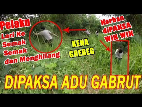 CEWE INI DIPAKSA ADU GABRUT WIK WIK DI SEMAK SEMAK