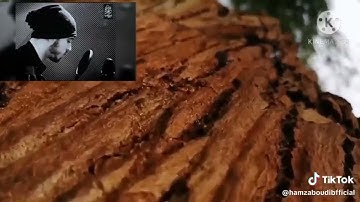 يقول يالتلي قدمت حياتي القارئ حمزة بوديب تلاوة خاشعة سورة الفجر