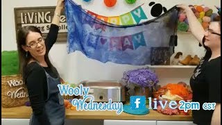 Wooly Wednesday 03 14 2018 - How to Dye Wool & Silk