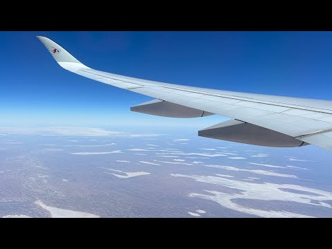 Qatar Airways Economy Class | AUCKLAND - DOHA | A350-1000 |