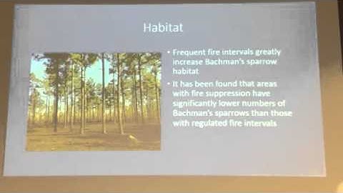 Sustainable Management of the Bachman